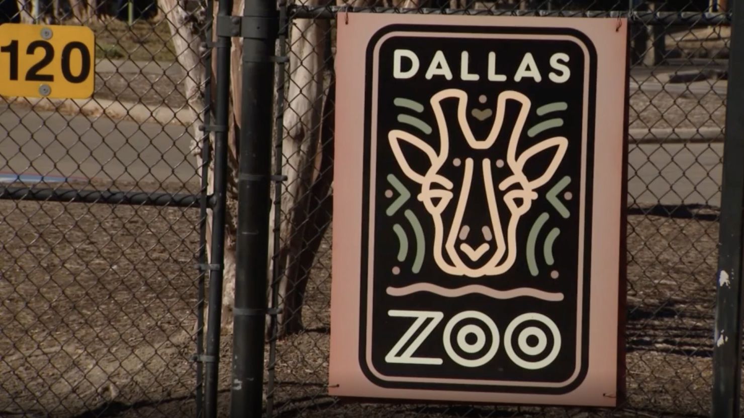 Several incidents at the Dallas Zoo in recent weeks have officials concerned.