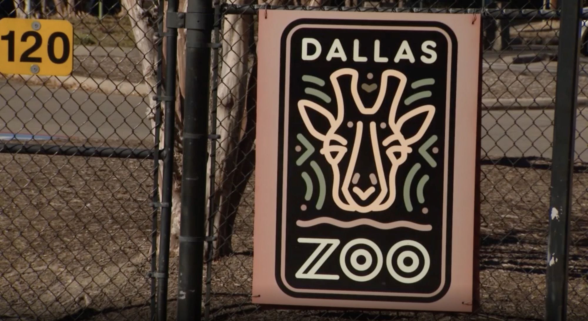 2 Monkeys Are Apparently Taken From Dallas Zoo in Latest Bizarre