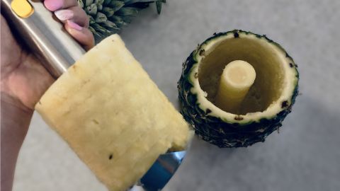 pinapple_slicerpineapple slicer_lead_3