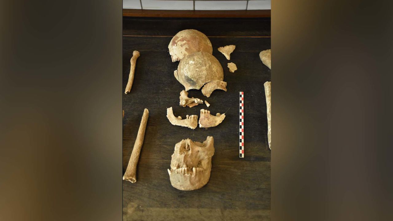 Skulls in the second haul were found to be in several parts.