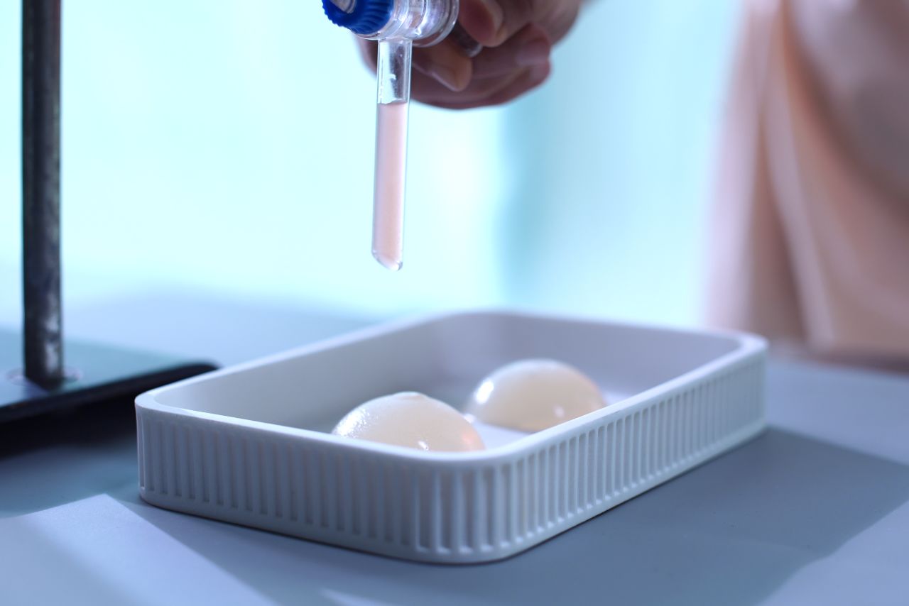 Lücking developed a method to grow the microalgae using a concentrated solution on edible agar gel.