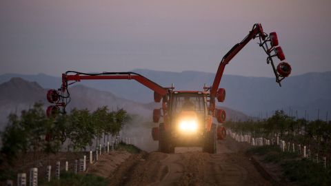 A farmer applies fertilizer in a field of pistachio trees at Peacock Nuts farm in Kingman.