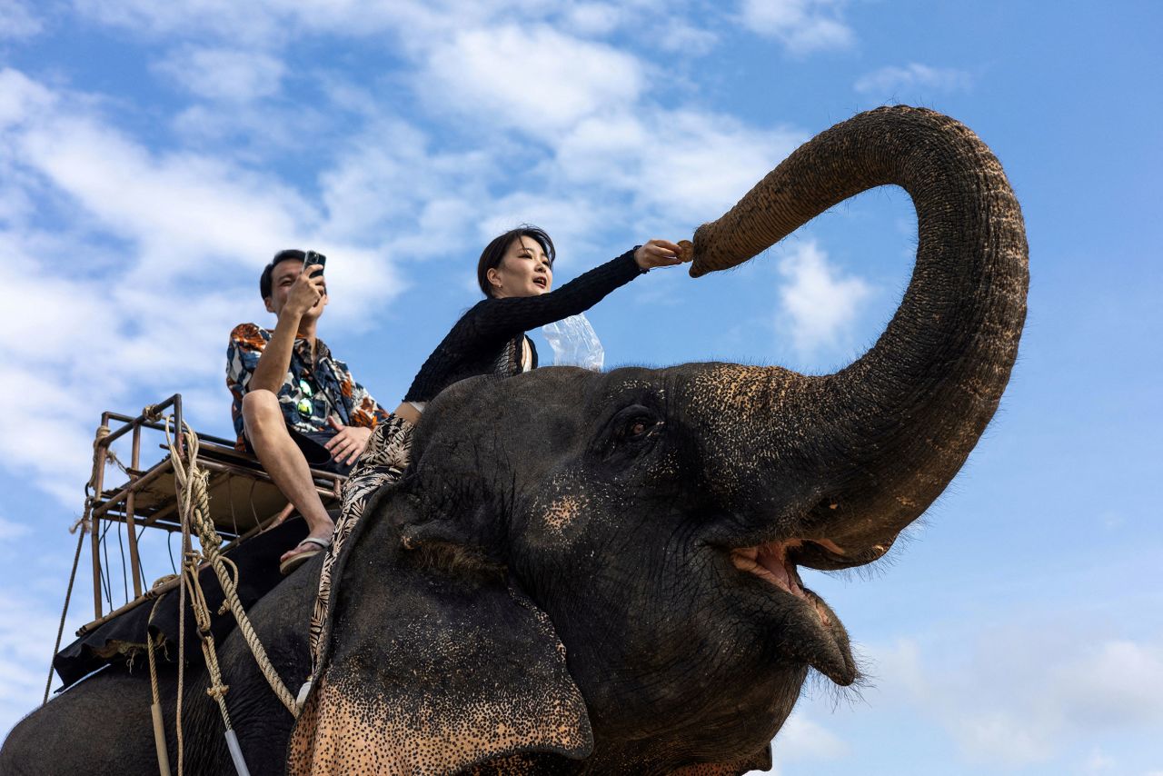 A tourist rides on an elephant at a jungle park in Phuket, Thailand, on Saturday, January 21.