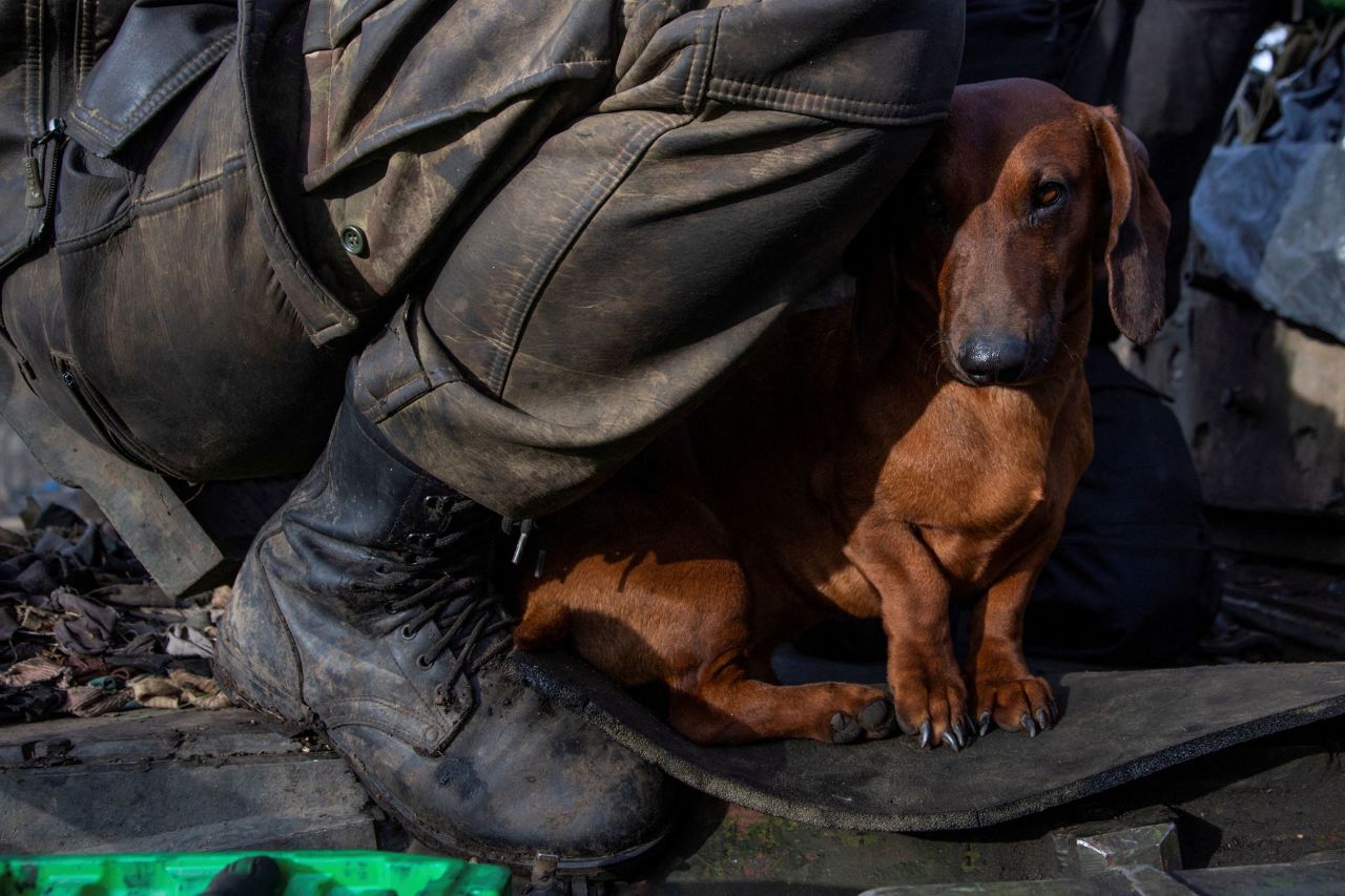 A dog named Chip sits next to a Ukrainian serviceman who was repairing a tank near Bakhmut, Ukraine, on the front lines of the fight against Russia, on Friday, January 20.