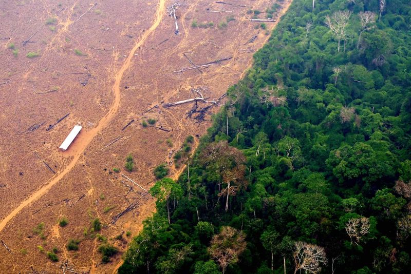 ‘A War Of Attrition’: Humans And Extreme Drought Damaging Amazon ...