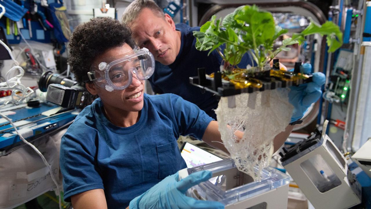 Watkins and fellow astronaut Bob Hines work in June on the XROOTS space botany investigation, using the space station's Veggie facility to test soilless methods to grow plants.