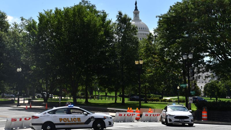 Man who threatened to detonate bomb near US Capitol pleads guilty