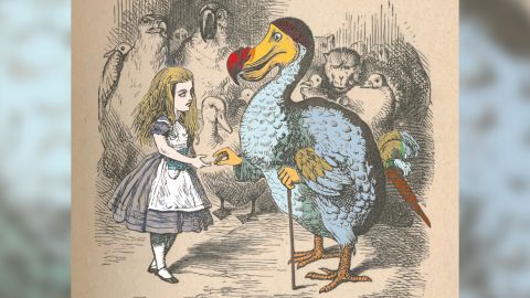 Der Dodo fasziniert seit seiner Entdeckung.  Es erscheint als Figur in Lewis Carrolls Alice im Wunderland, wie von John Tenniel illustriert.