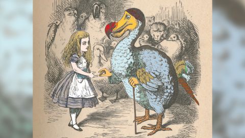 The dodo has been a source of fascination since it was discovered. It appears as a character in Lewis Carroll's Alice in Wonderland as illustrated by John Tenniel.