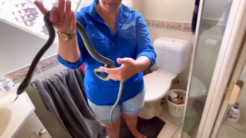 Man surprised by 4-foot snake in his toilet | CNN