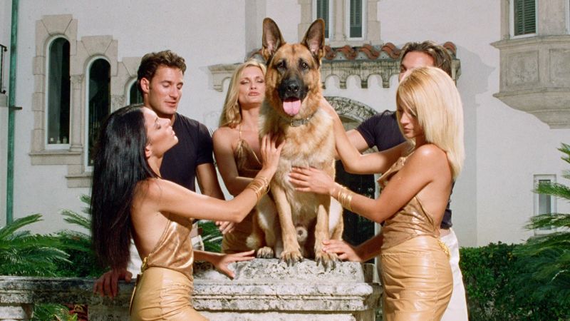 NextImg:Gunther's Millions,' heir to 'Tiger King,' shows how TV news can go to the dogs | CNN