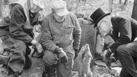 In 1973, Punxsutawney Phil delighted onlookers with his cuteness and disappointed them by predicting six more weeks of winter.