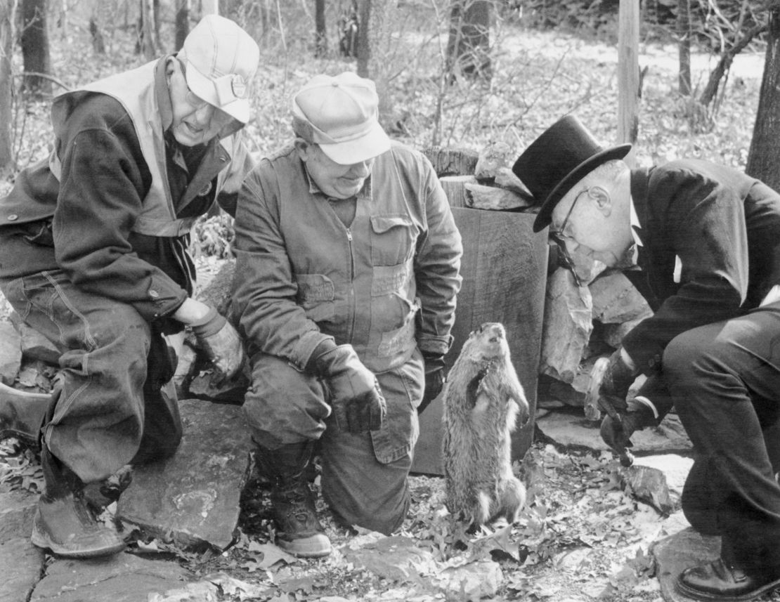 In 1973, Punxsutawney Phil delighted onlookers with his cuteness and disappointed them by predicting six more weeks of winter.