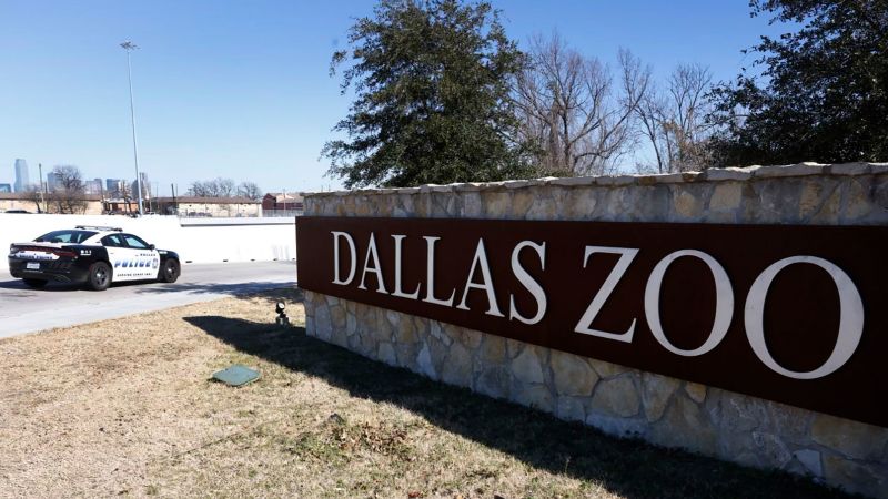 Suspect arrested in case of tamarin monkeys missing from Dallas Zoo, police say