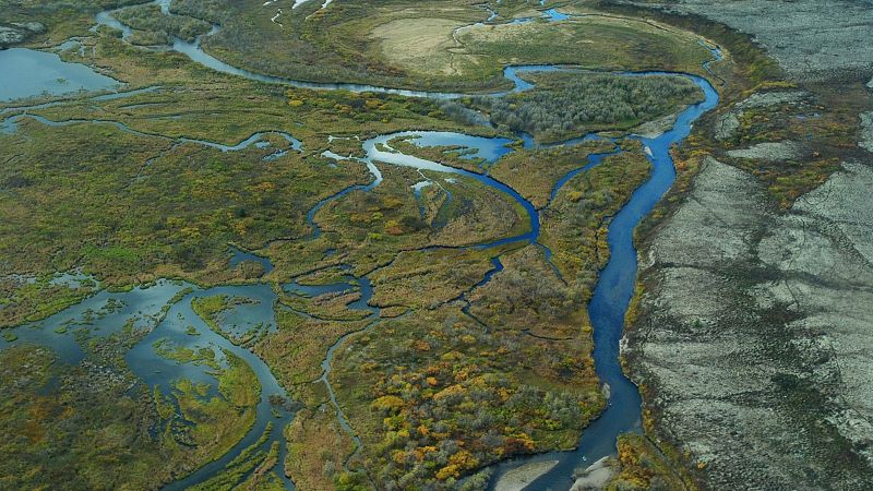 EPA blocks mining project proposal that threatened Alaskan salmon