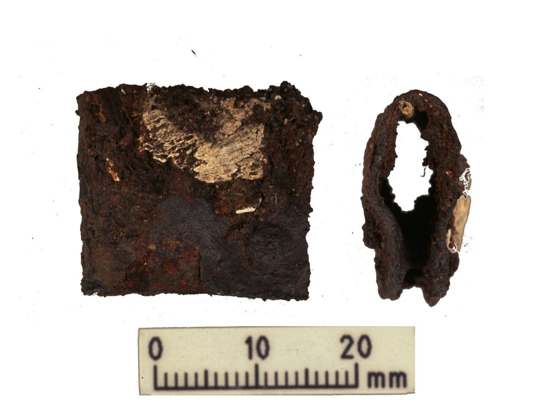 This clasp from a Viking warrior's shield was located in the same grave as the human and animal remains.