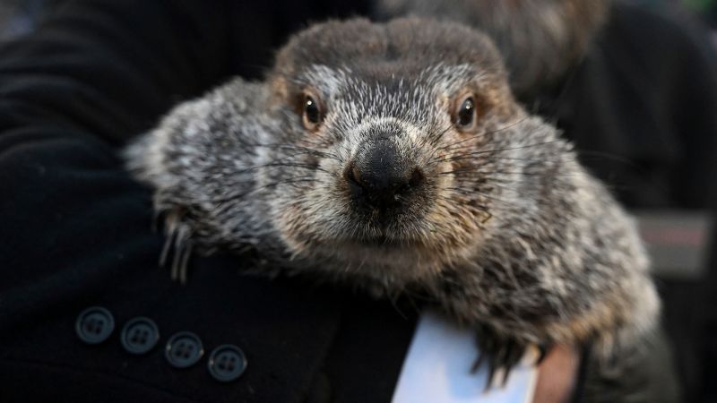 Punxsutawney Phil left his burrow for his annual prediction. Here’s how much longer winter will last according to the legend – CNN