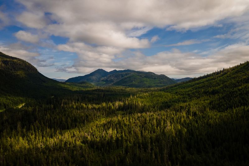 Biden Administration Restores Protections For Alaska’s Tongass Forest ...