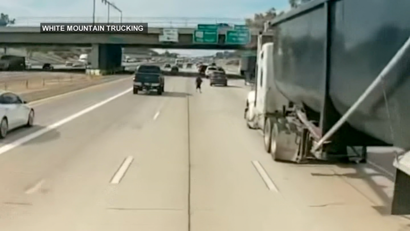 Dashcam video captures moment persons runs recklessly on freeway  | CNN