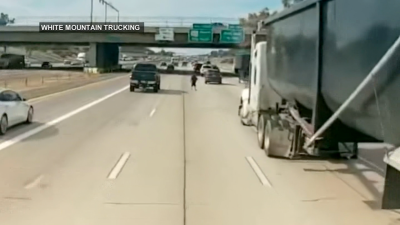 NextImg:Watch: Dashcam video captures moment person runs recklessly on freeway | CNN