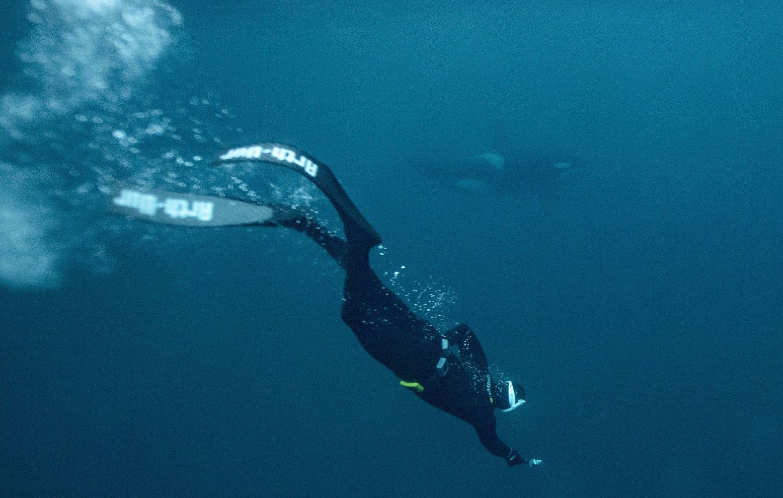 World champion free diver Arthur Guerin Boëri swims near an orca in the Arctic Ocean on Friday, January 27.