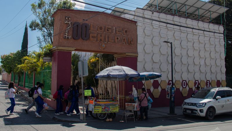 NextImg:Former zoo director accused of serving pygmy goats for dinner in Mexico | CNN