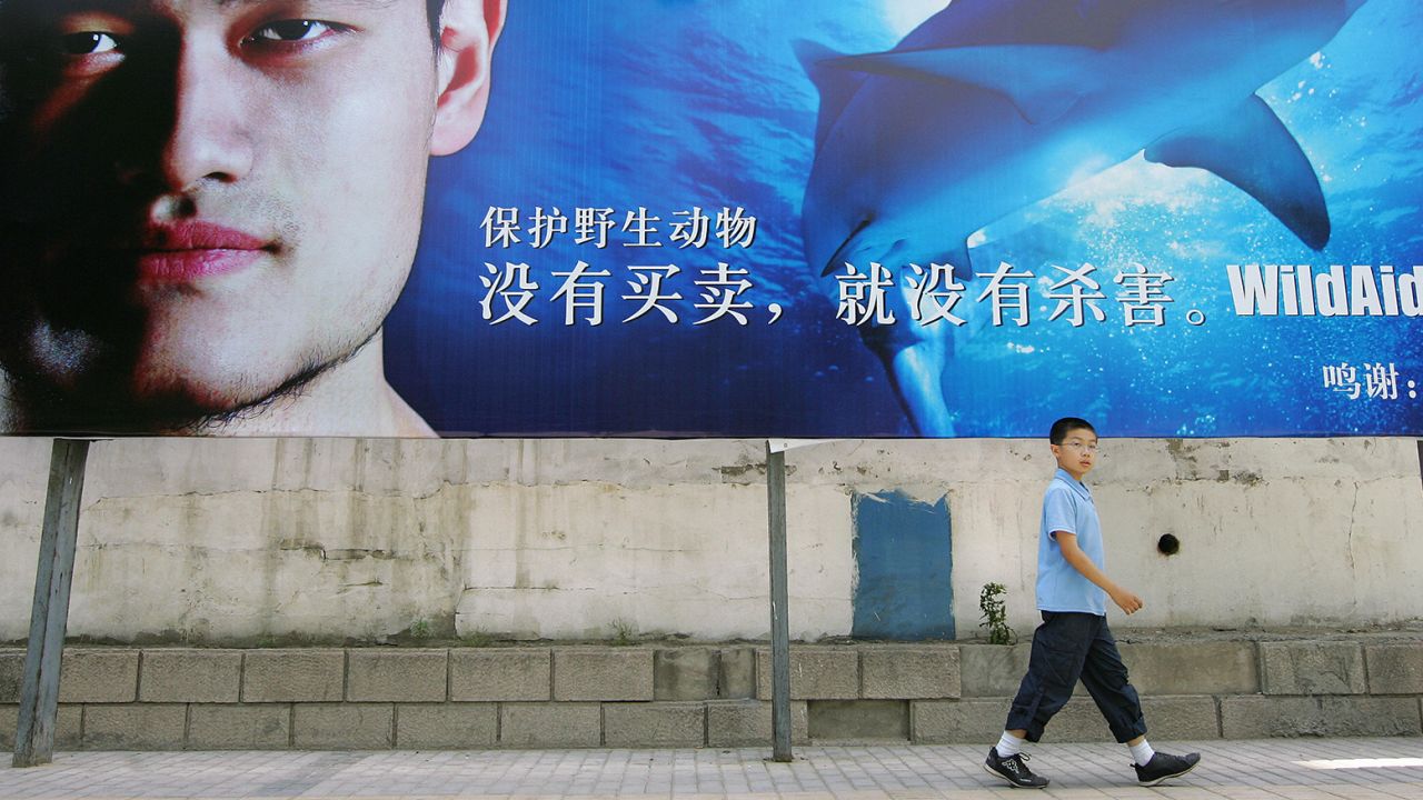 A boy walks past a billboard showing Chinese basketball star Yao Ming in a campaign to raise awareness on wildlife preservation in Beijing in June 2007.