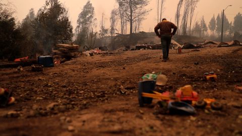 View of burnt trees during a fire in Santa Juana, Concepcion province, Chile on February 3, 2023. 