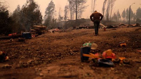 A view of burned trees during a fire in Santa Juana, Concepcion province, Chile, February 3, 2023. 