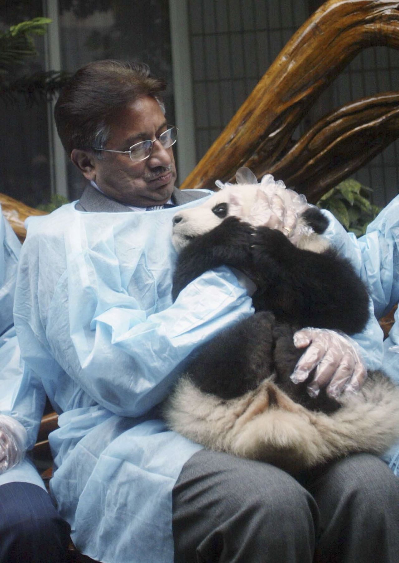 Musharraf holds a panda while visiting China in 2006.