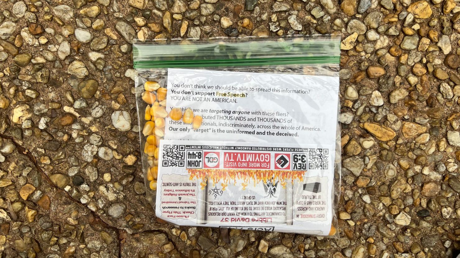 Antisemitic flyers were left on the driveway of Georgia state Representative Esther Panitch.