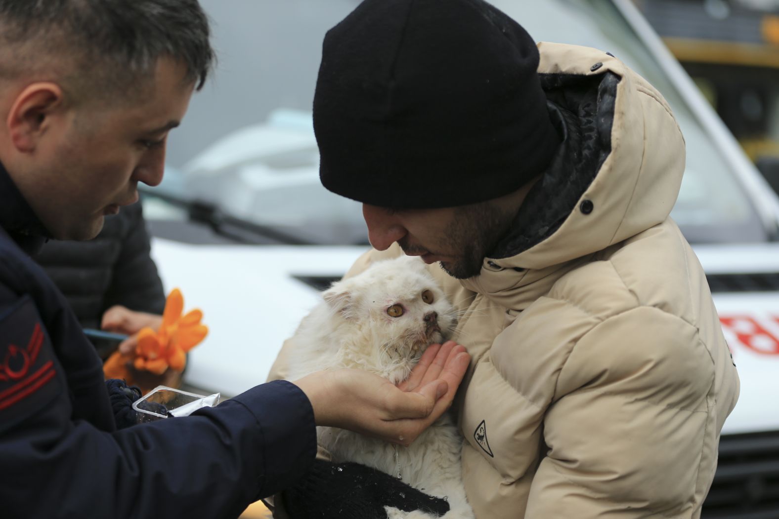 A cat is tended to after being rescued from the rubble in Diyarbakir.