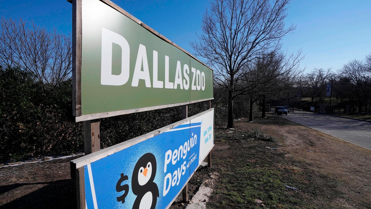 The Dallas Zoo sign welcomes visitors to the facility on February 3 in Dallas. The man suspected of stealing two tamarin monkeys from the zoo allegedly admitted to the crime, according to arrest warrant affidavits.