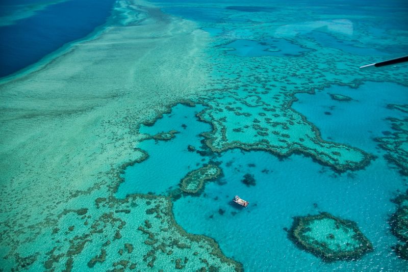 Australia Rejects A Coal Mine Near Great Barrier Reef Due To Risk Of ...