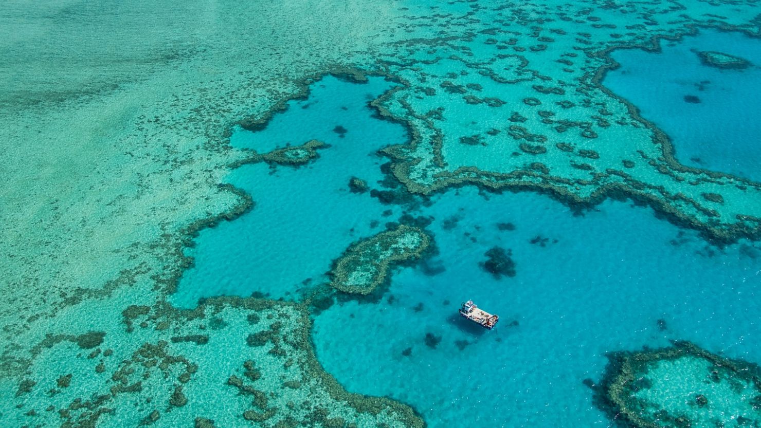 The Great Barrier Reef in Queensland has suffered several mass bleaching events due to the impacts of climate change.