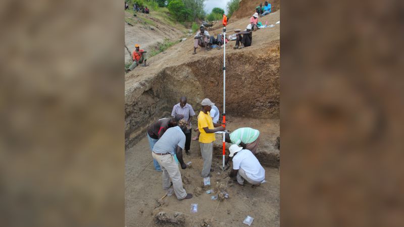 Sophisticated stone tools may predate humans, study suggests | CNN