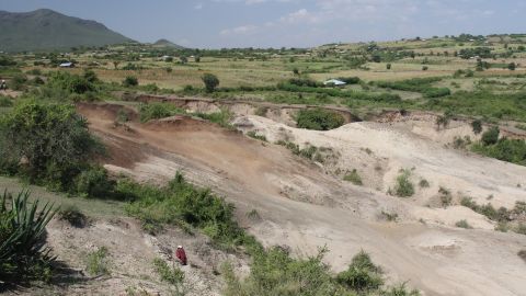 This is the Nyayanga site in July 2014 before excavation. The tan and reddish brown sediments are where Oldowan tools and fossils were unearthed. 