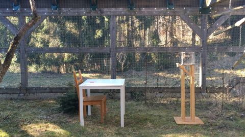 The set-up for the third experiment, where the cockatoos had to fly horizontally while carrying the tools to the box on the ledge on the right.