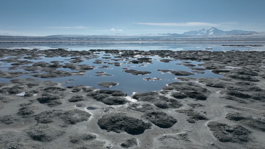 Great Salt Lake not that far off from an ecosystem collapse: Toxic dust  storms, die-offs loom