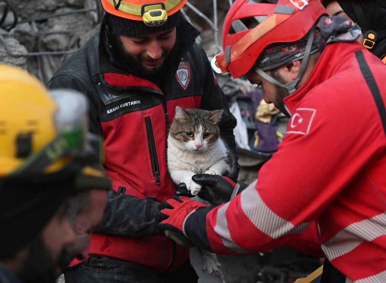 Search-and-rescue workers aid a cat that was rescued in Kahramanmaraş on February 10.