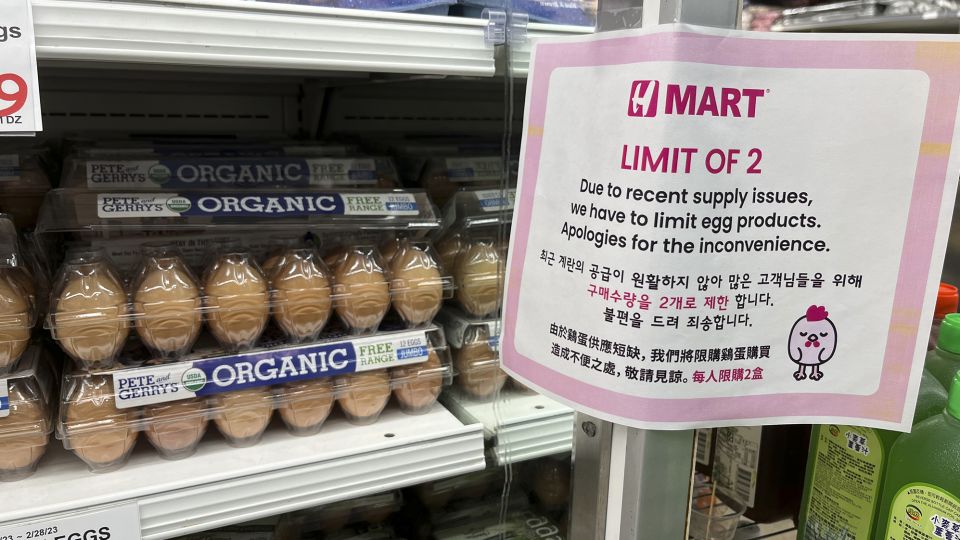 US Egg Prices Up 70% From a Year Ago
