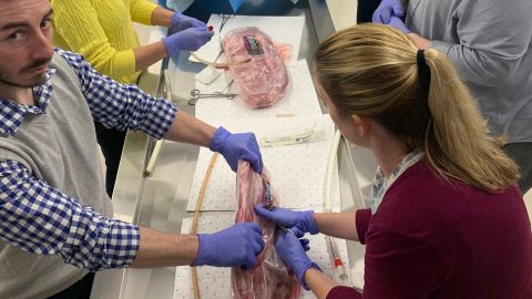 In a lab at Lipscomb University in 2020, nurse practitioners join doctors in practicing how to place a chest tube to fix a collapsed lung by snaking a rubber hose through a rack of pork ribs. The NPs, who work for American Physician Partners, will have to perform the procedure under a doctor's supervision before being allowed to do it on their own. 