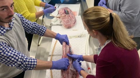 In a lab at Lipscomb University in 2020, nurse practitioners join doctors in practicing how to place a chest tube to fix a collapsed lung by snaking a rubber hose through a rack of pork ribs. The NPs, who work for American Physician Partners, will have to perform the procedure under a doctor's supervision before being allowed to do it on their own.