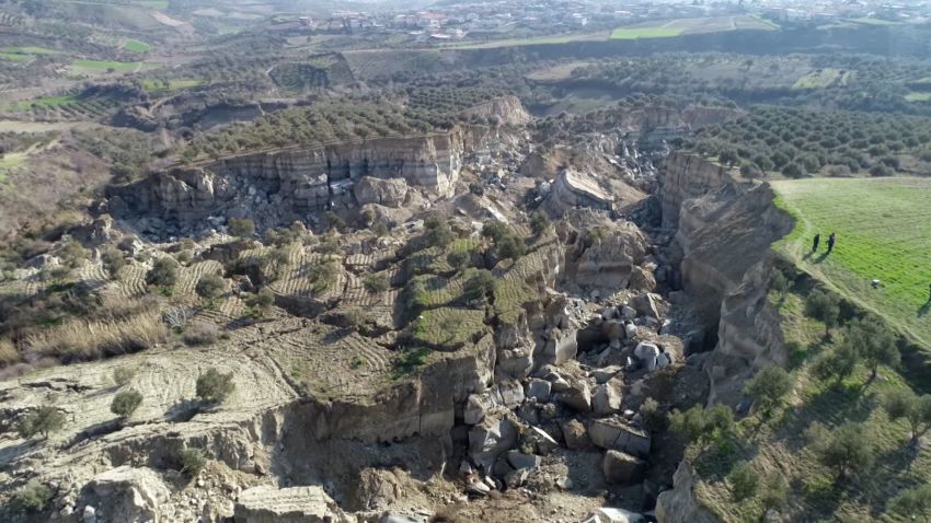 turkey earthquake olive grove orig