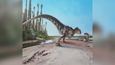 This illustration shows a Megalosaurus, the dinosaur believed to have left the footprint. 