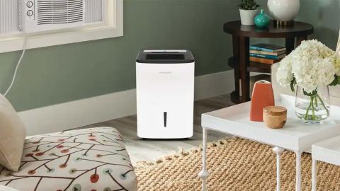 underscored Home Depot Dehumidifier