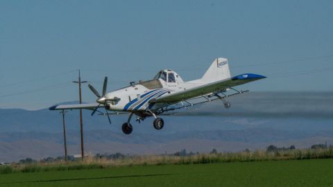 Richard Richter's son Nick flying one of the company's planes to spray fungicide over rice farms during the 2021 summer growing season in Maxwell, California.
