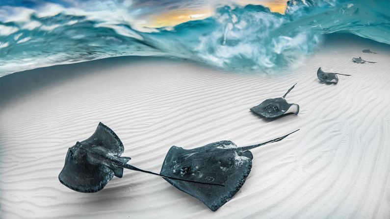 J. Gregory Sherman won the Marelux Wide Angle category for this shot of southern stingrays in the Cayman Islands at dawn. 