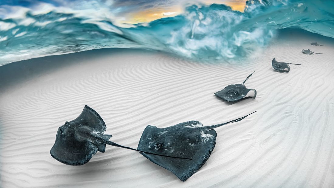 J. Gregory Sherman won the Marelux Wide Angle category for this shot of southern stingrays in the Cayman Islands at dawn. 