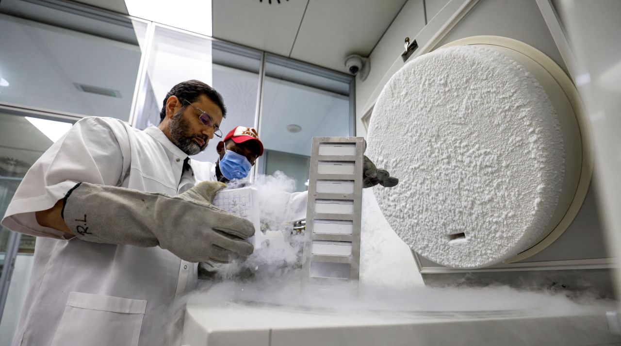 Once cell samples have been taken, clones can be made of an animal even years after its death.